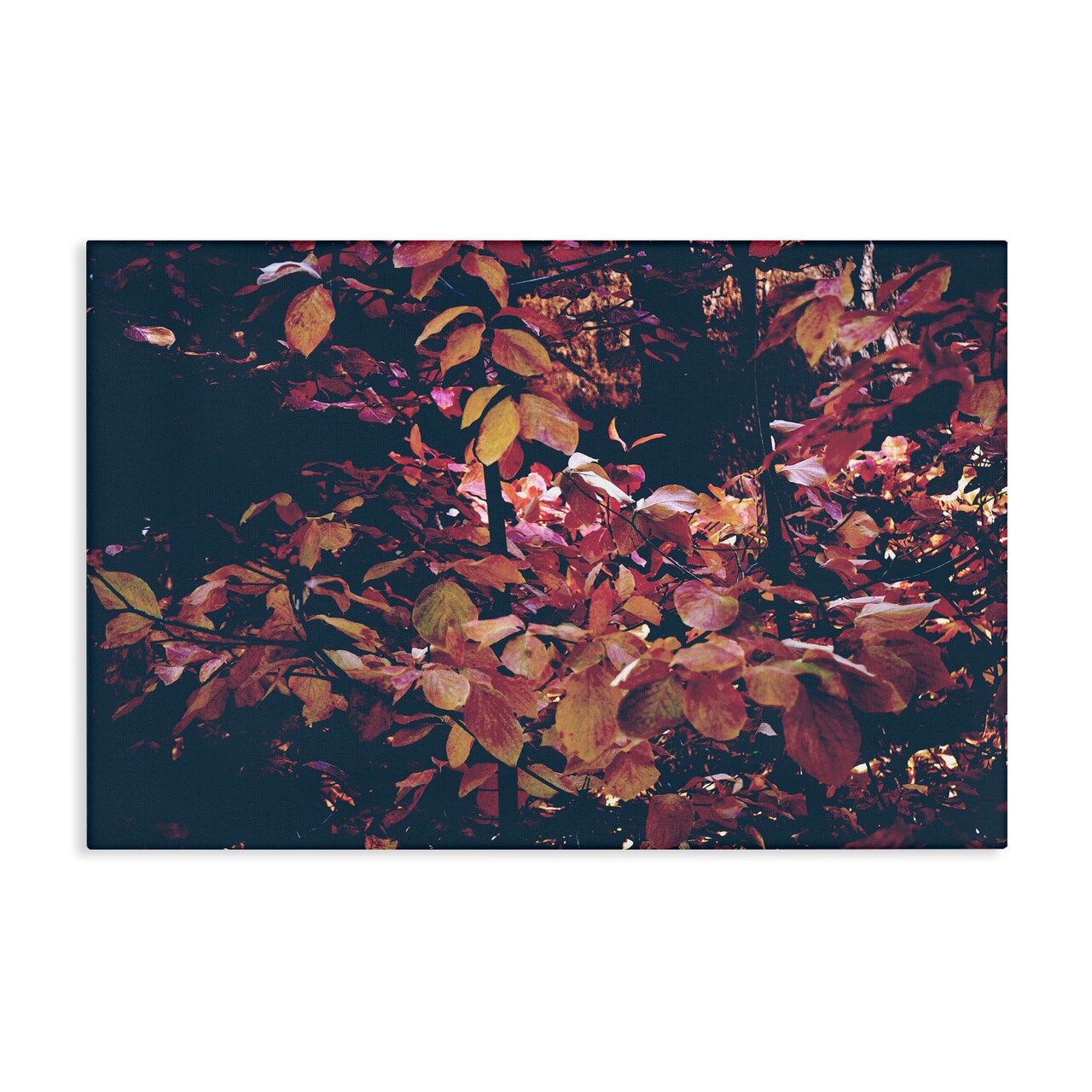 Stupell Industries Dusky Forest Leaves Canvas Design By Gemma Bardot